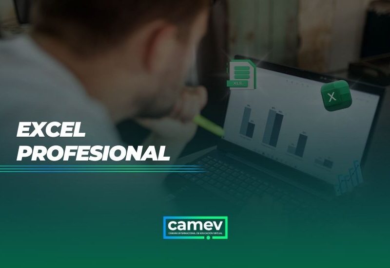 Excel Profesional